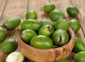 Feijoa за налягане