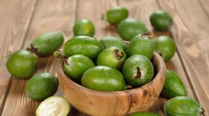 Feijoa за налягане
