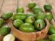 Feijoa за налягане