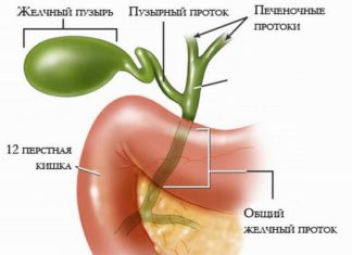 Жлъчния мехур при аритмия