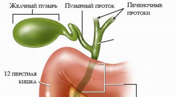 Жлъчния мехур при аритмия