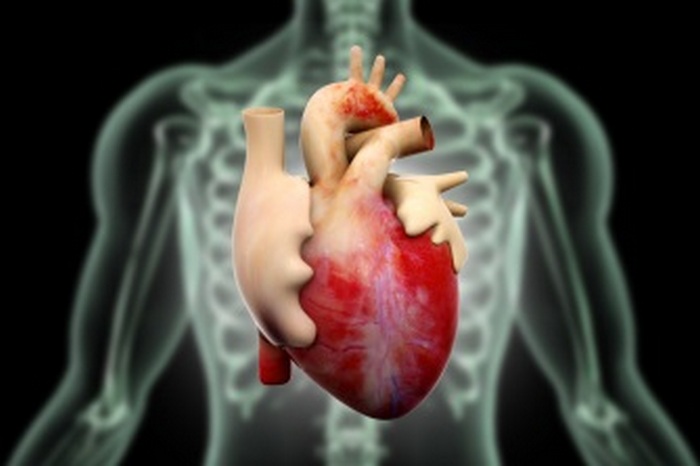 Конкор от аритмия на сърцето