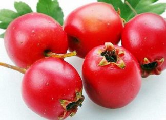 Глог при налягане
