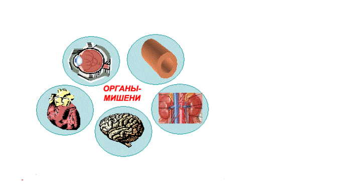 Органи на мишената при хипертония