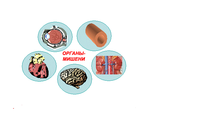 Органи на мишената при хипертония